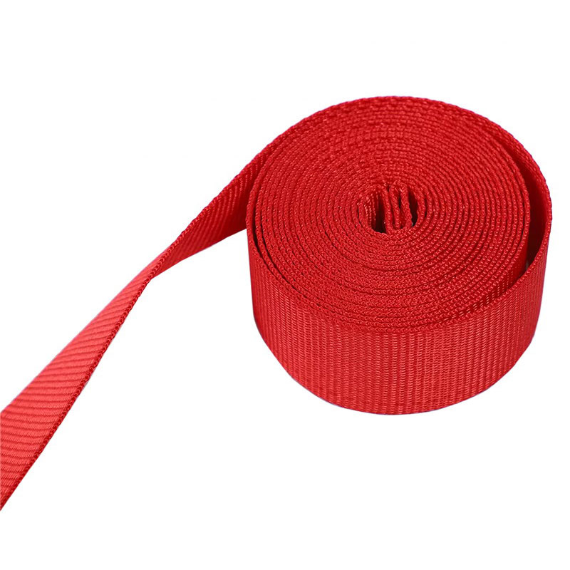 2' X 12' crveni E-Track remen s čegrtaljkom